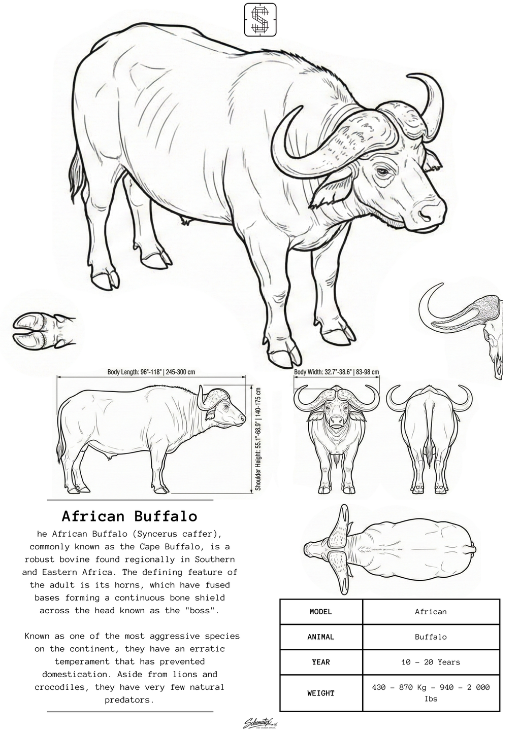 African Buffalo – Premium Metal Art Print