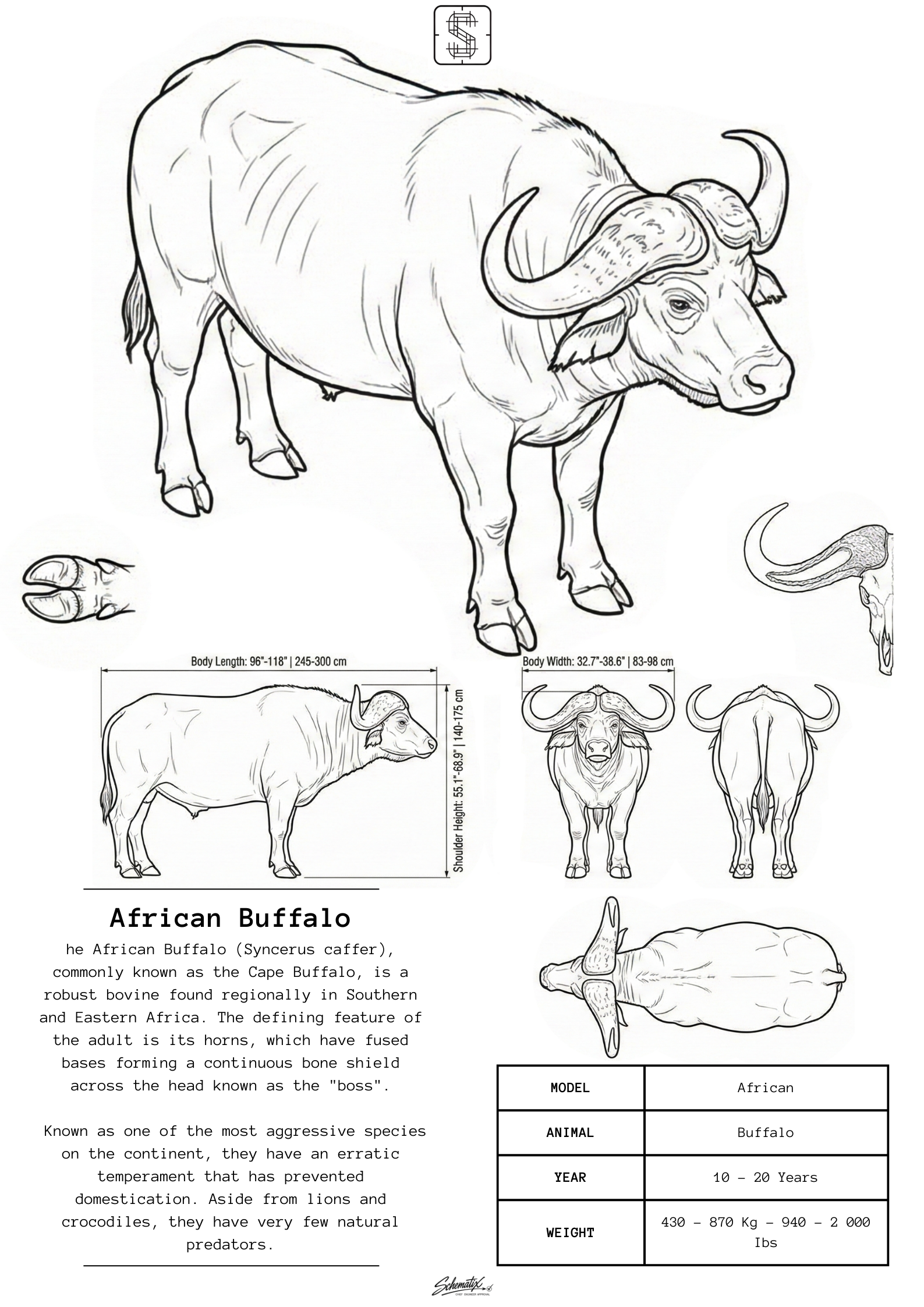 African Buffalo – Premium Metal Art Print