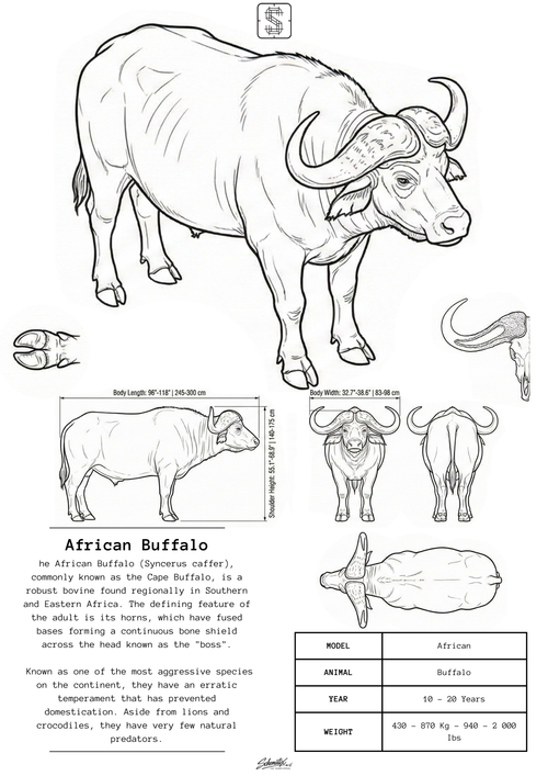 African Buffalo – Premium Metal Art Print