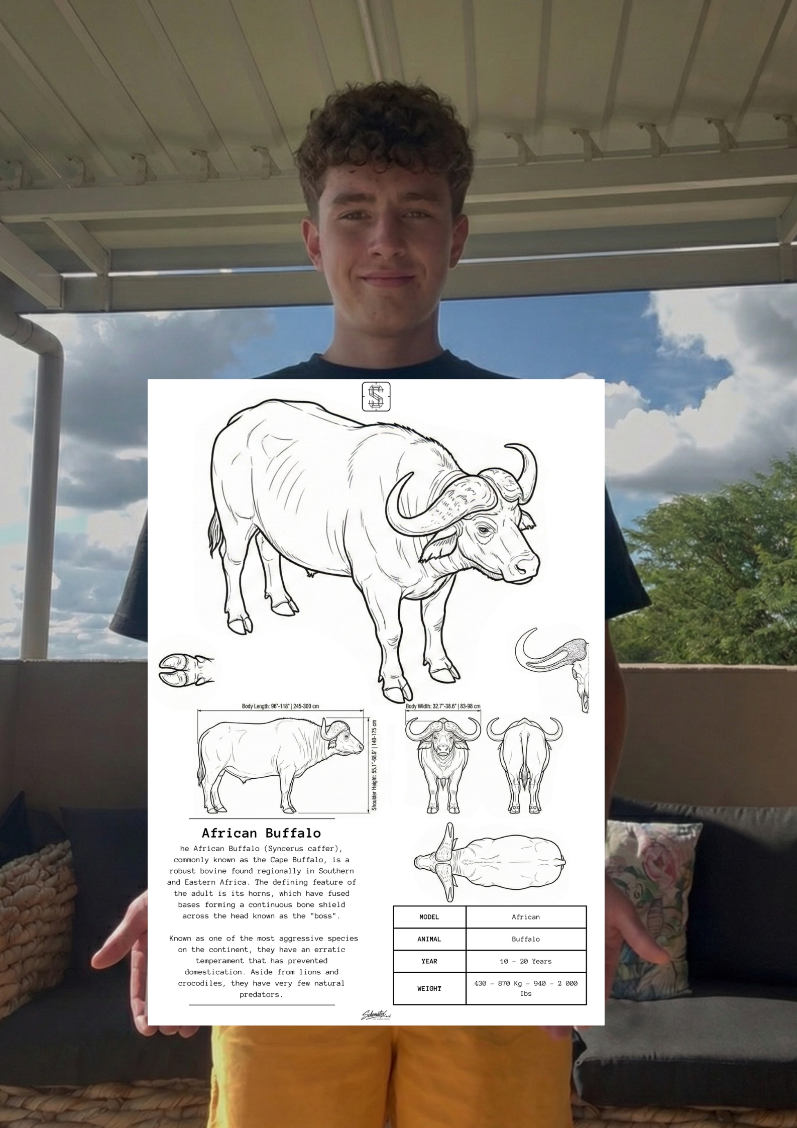 African Buffalo – Premium Metal Art Print