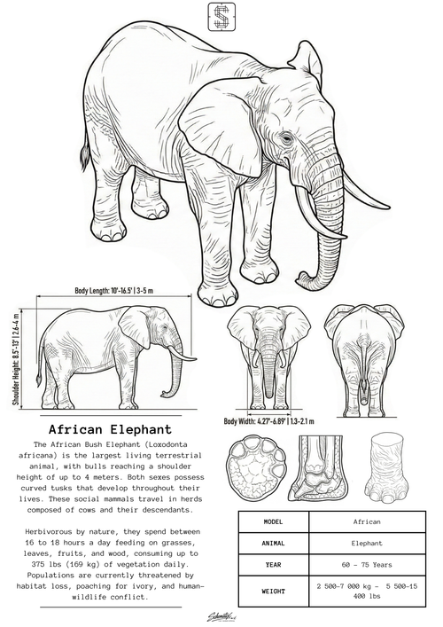African Elephant - Premium Metal Art Print