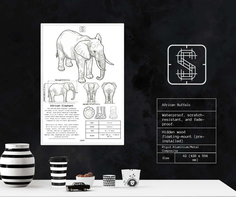 African Elephant - Premium Metal Art Print