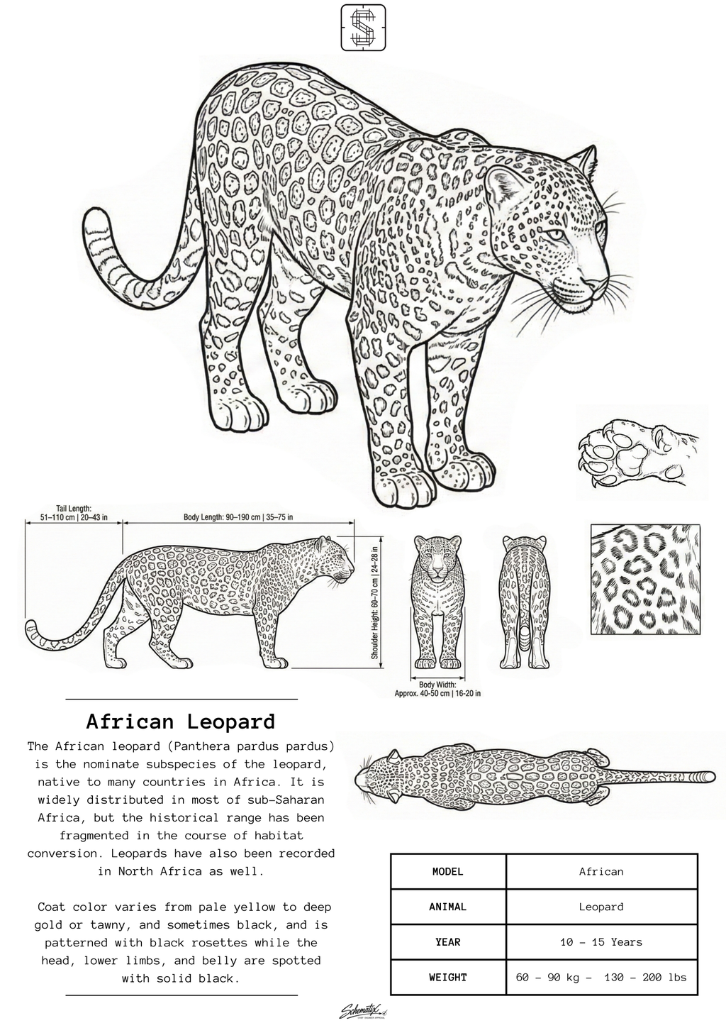 African Leopard - Premium Metal Art Print