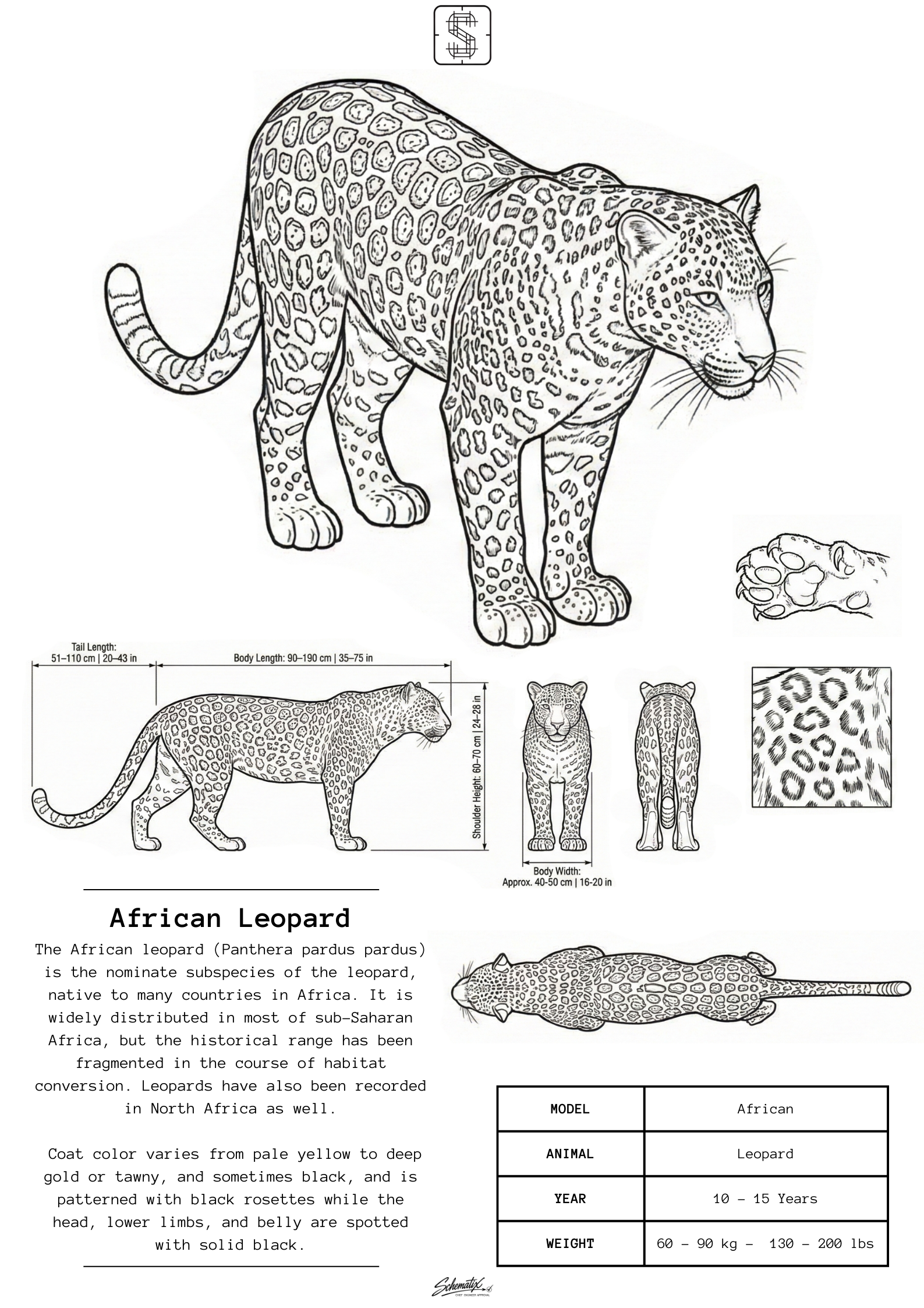 African Leopard - Premium Metal Art Print