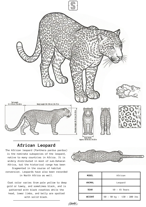 African Leopard - Premium Metal Art Print