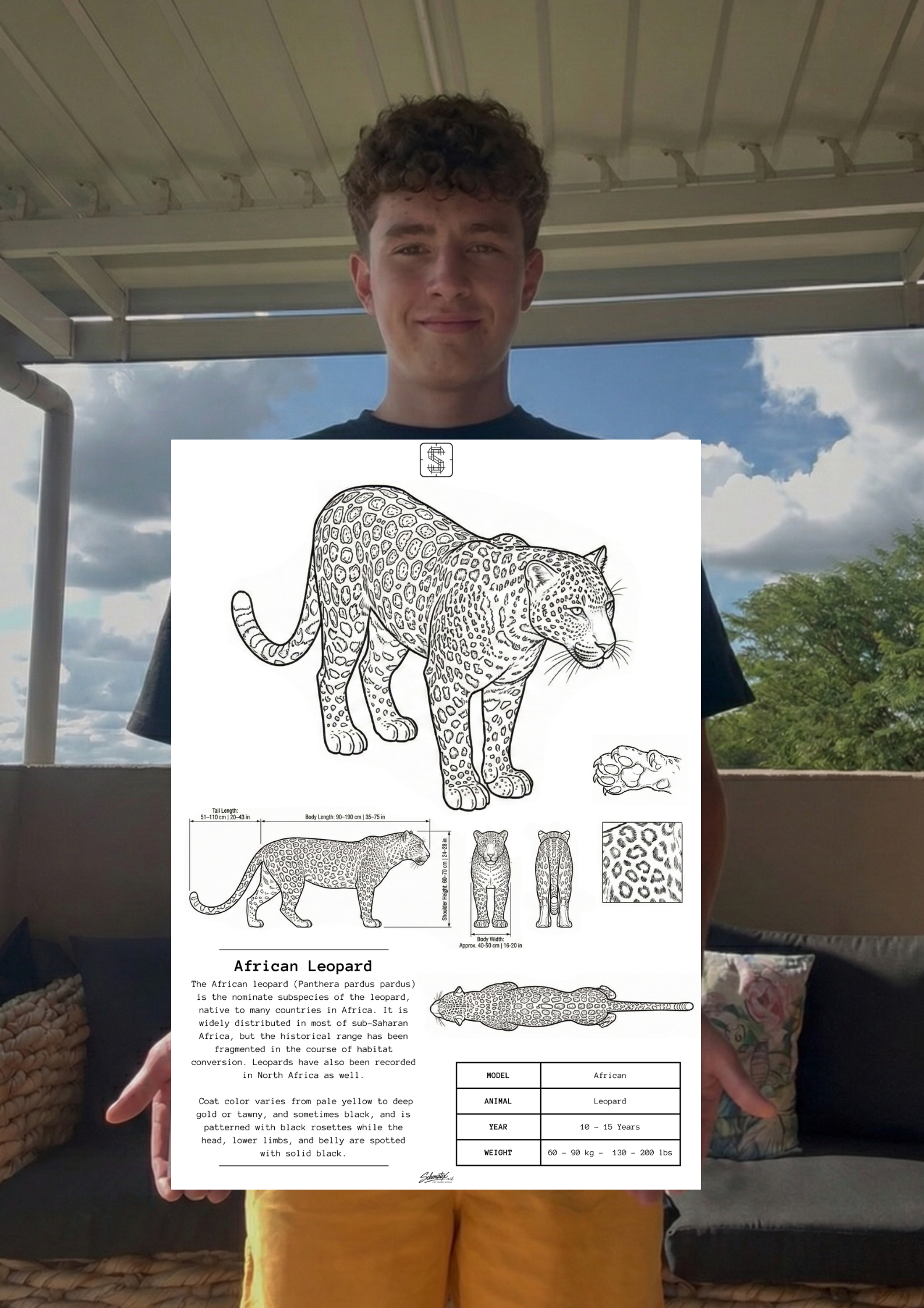 African Leopard - Premium Metal Art Print