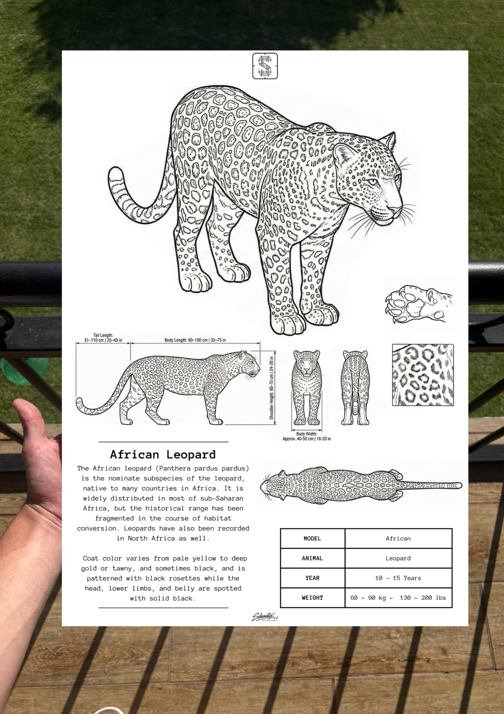 African Leopard - Premium Metal Art Print